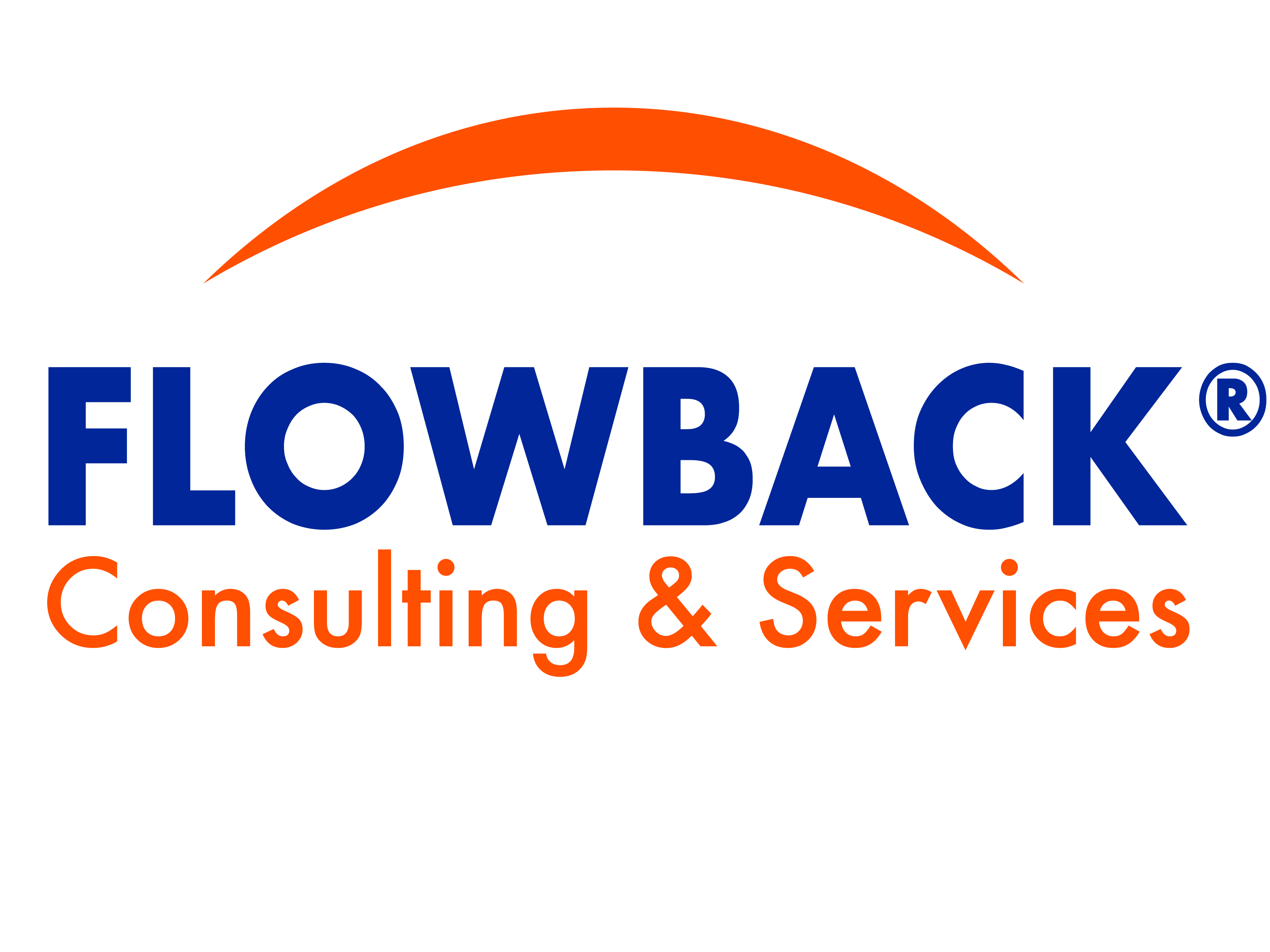 Logo Flowback